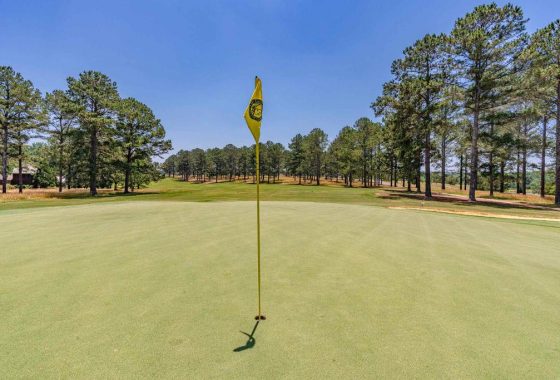 cuscowilla golf